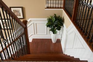 stair landing with wall trim and plant